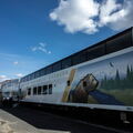 VOYAGE ALASKA 2018