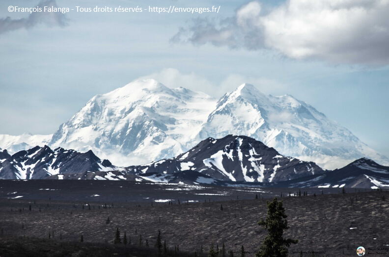Fsai180525_04-Denali-SavageRiver.jpg