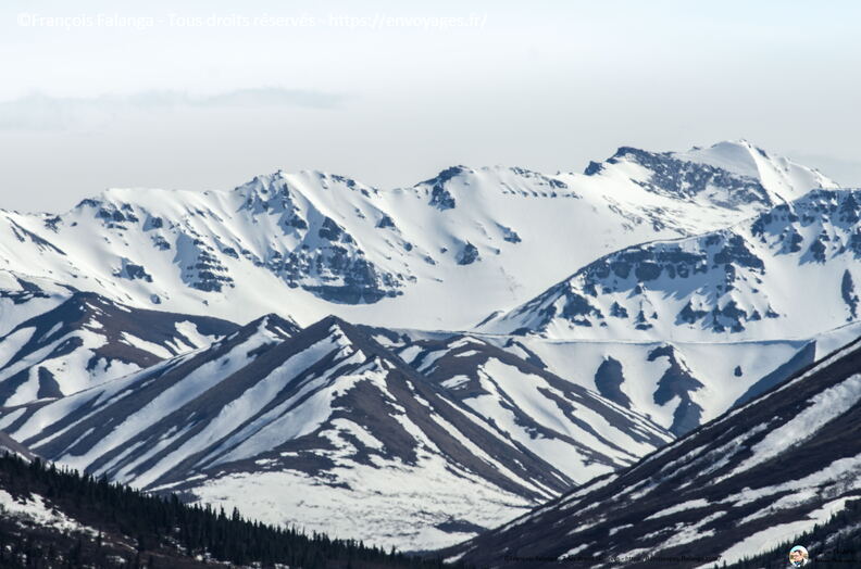 Fsai180525_05-Denali-MountainVista.jpg