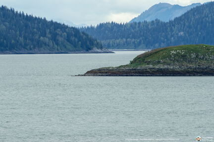 VOYAGE ALASKA 2018