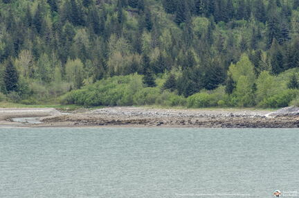 VOYAGE ALASKA 2018
