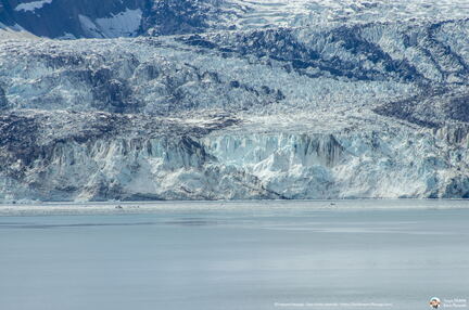VOYAGE ALASKA 2018