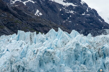 VOYAGE ALASKA 2018