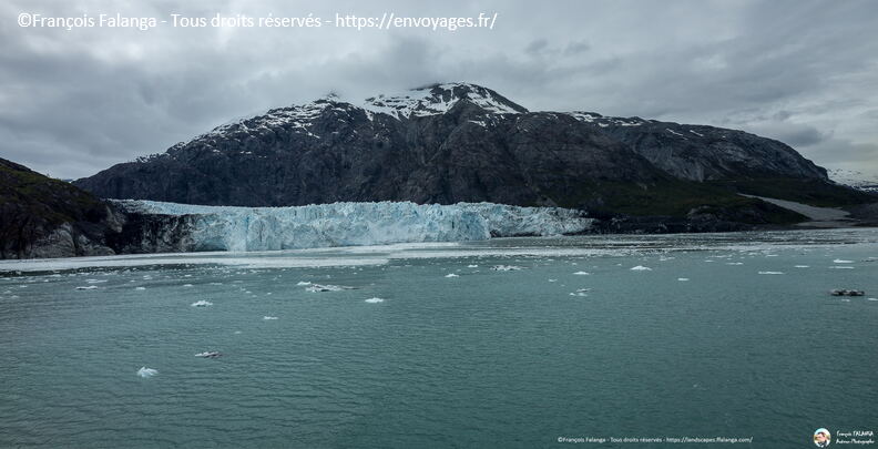 Fsai180529_142-GlacierBay.jpg