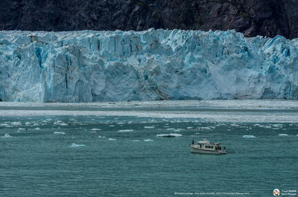 VOYAGE ALASKA 2018