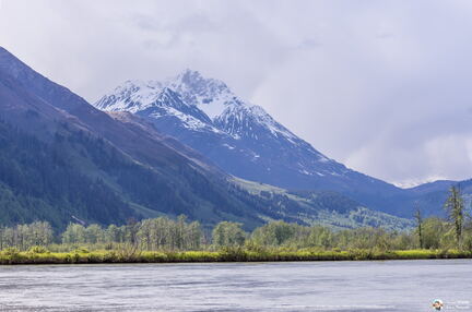 VOYAGE ALASKA 2018