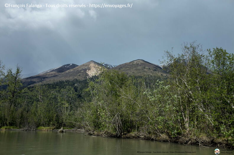 Fsai180530_054-Haines-ChilkatRiver.jpg