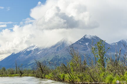 VOYAGE ALASKA 2018