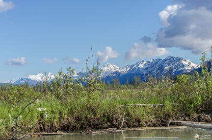 VOYAGE ALASKA 2018