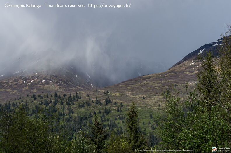 Fsai180530_078-Haines-ChilkatRiver.jpg