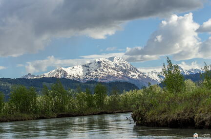 VOYAGE ALASKA 2018