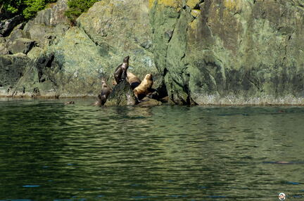 VOYAGE ALASKA 2018