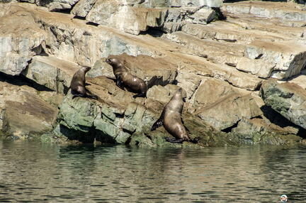 VOYAGE ALASKA 2018