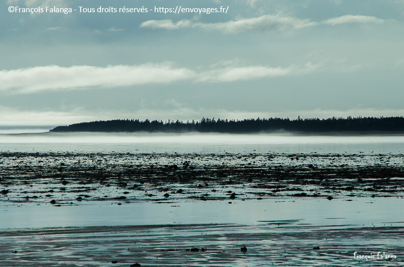 Fsai150826_12-Quebec-Rimouski.jpg
