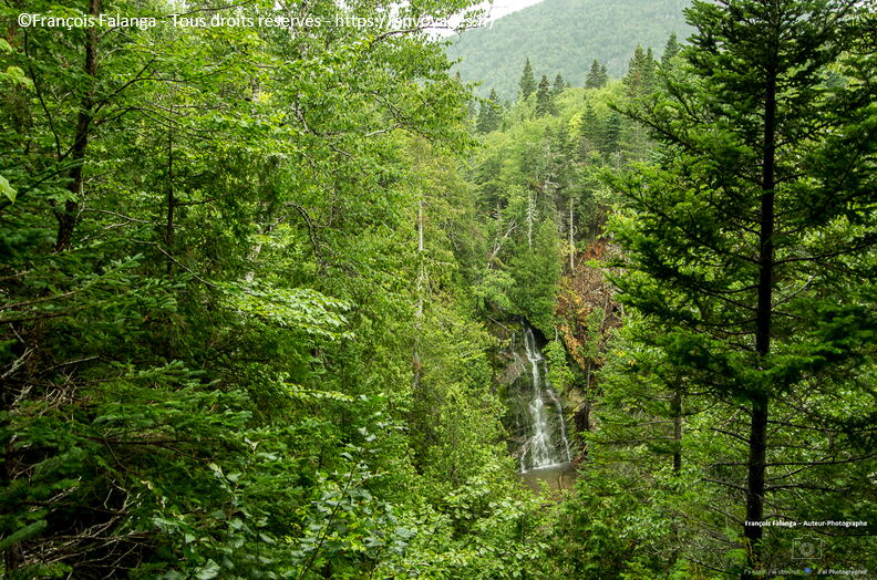 Fsai150831_28-Quebec-ParcForillon.jpg