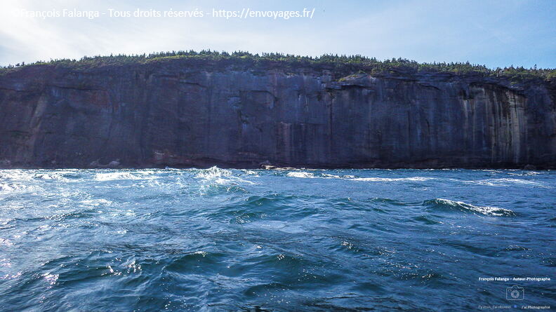 Fsai150901_018-Quebec-Ile_Bonaventure.jpg