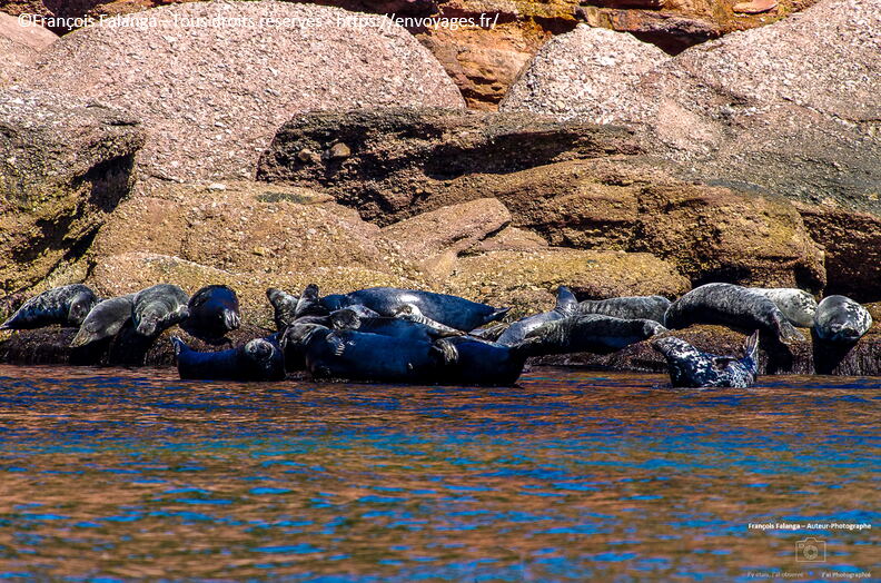 Fsai150901_070-Quebec-Ile_Bonaventure.jpg