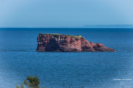 NEW BRUNSWICK 2015 - Moncton a St John