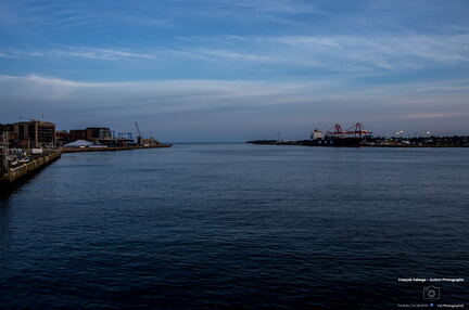 NEW BRUNSWICK 2015 - Moncton a St John