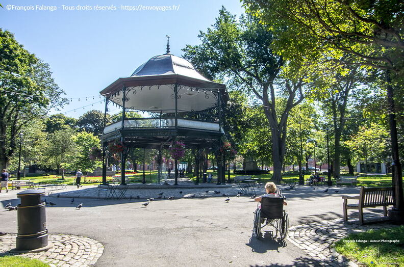 Fsai150906_015-New-Brunswick-St_John.jpg