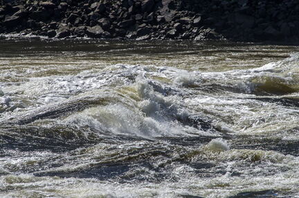 NEW BRUNSWICK 2015 - Autour de St John