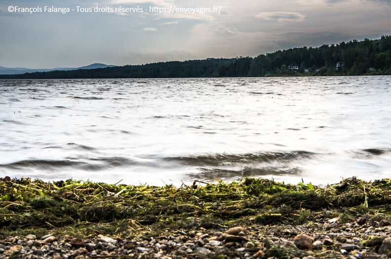 Fsai150907_03-New-Brunswick-St_John-Rimouski.jpg