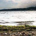 NEW BRUNSWICK 2015 - De St John a Rimouski