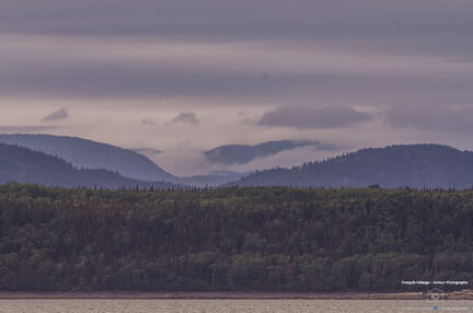 QUEBEC 2015 - De Rimouski à Tadoussac