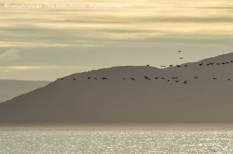 Fsai150908_30-Quebec-Rimouski-Tadoussac.jpg