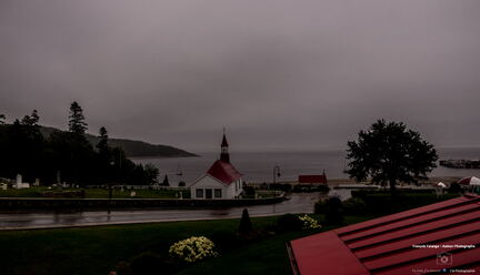 QUEBEC 2015 - Tadoussac sortie baleines