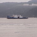 QUEBEC 2015 - Tadoussac sortie baleines