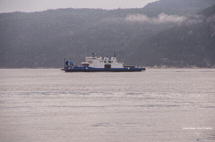 QUEBEC 2015 - Tadoussac sortie baleines