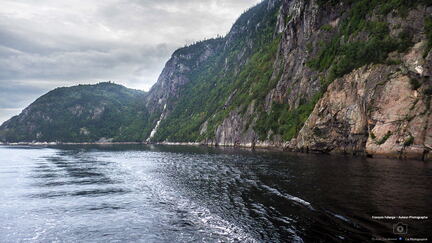 QUEBEC 2015 - Tadoussac sortie baleines