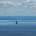 QUEBEC 2015 - Tadoussac sur la route du Saguenay