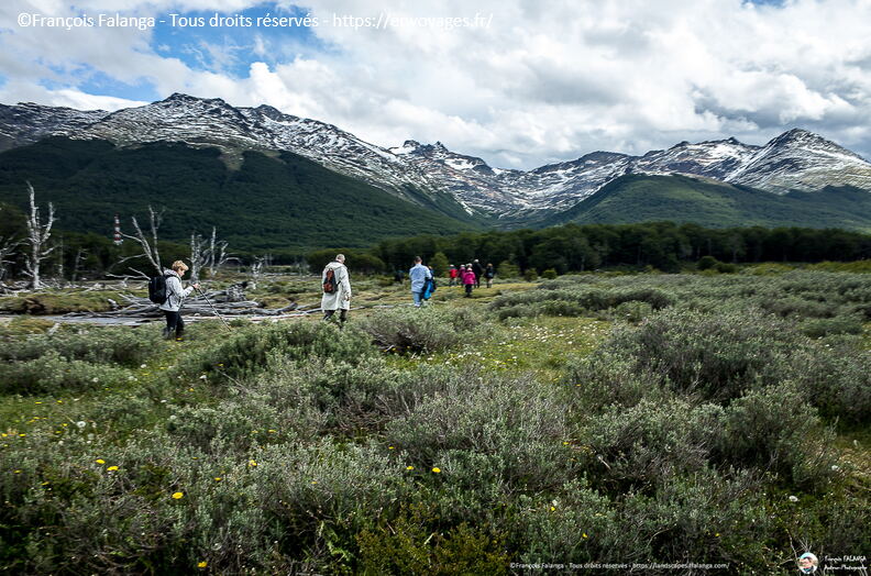 Fsai161214_082-Argentine-Ushuaia.jpg