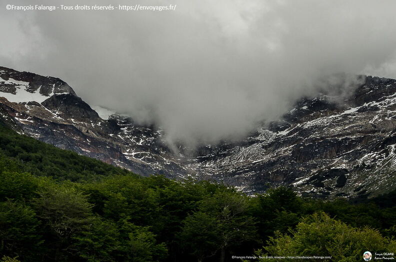 Fsai161214_092-Argentine-Ushuaia.jpg