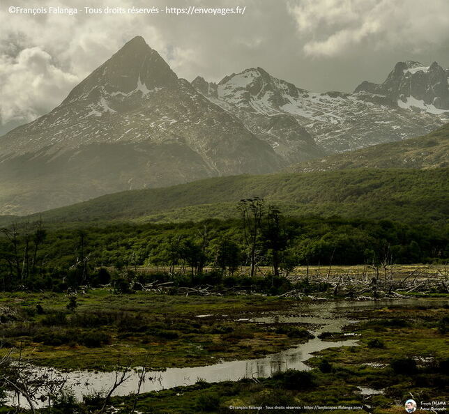 Fsai161214_100-Argentine-Ushuaia.jpg