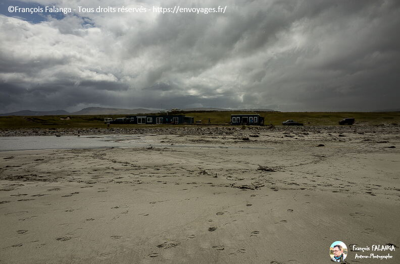 Fsai161211_156-UK-Falkland-Manchots.jpg