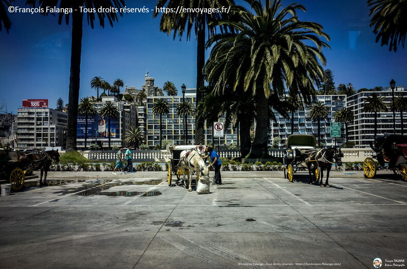 Fsai161220_Chili-Vina_del_mar_194.jpg