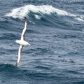 Amérique du Sud - Antarctique - 2022-23