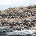 Amérique du Sud - Antarctique - 2022-23