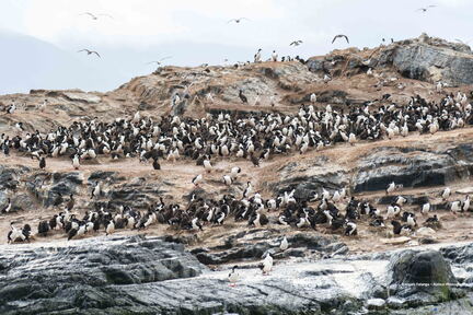 Amérique du Sud - Antarctique - 2022-23