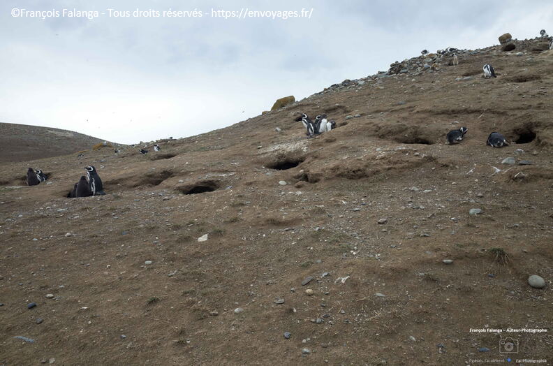 Fsai230105_Chili-Ile_Magdalena_119.jpg