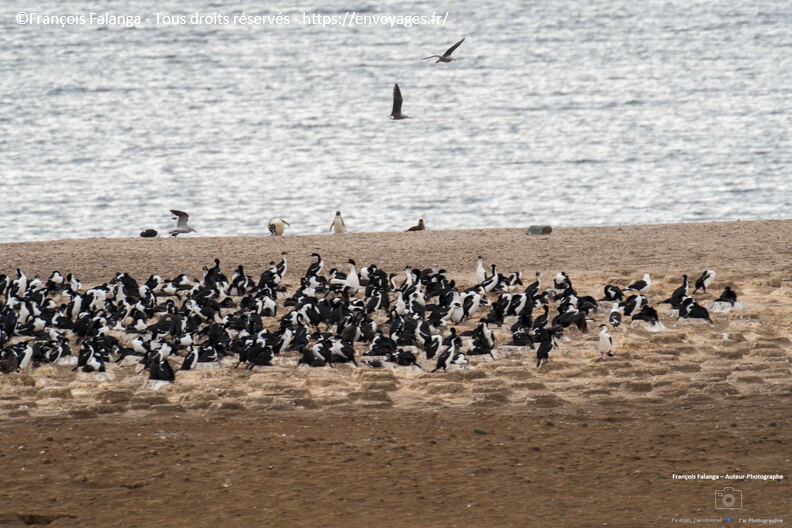 Fsai230105_Chili-Ile_Magdalena_135.jpg