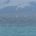 Amérique du Sud - Antarctique - 2022-23