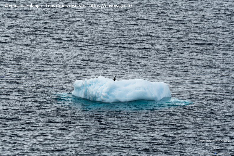 Fsai221230_Antarctique-Baie-Wilhelmine_049.jpg