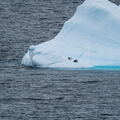 Amérique du Sud - Antarctique - 2022-23