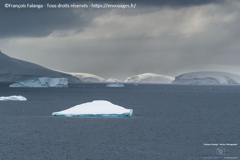 Fsai221230_Antarctique-Ile-Curville_165.jpg