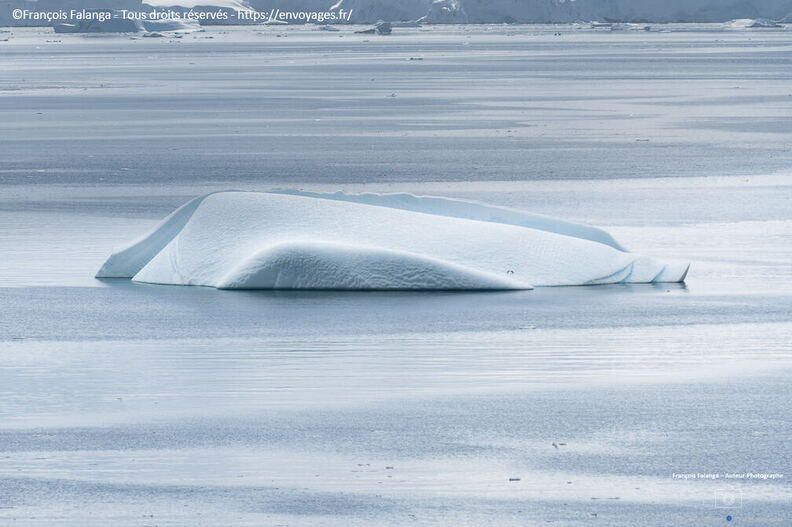 Fsai221231_Antarctique-Chenal-Neumayer_38.jpg