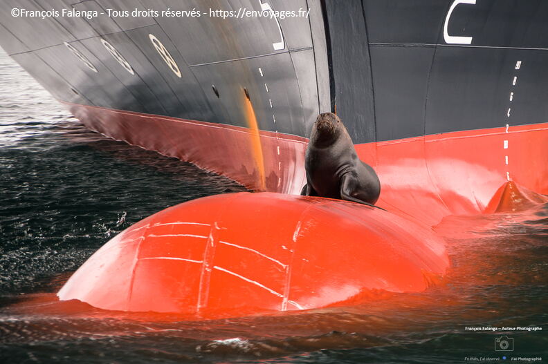 Fsai230109_Chili-Puerto_Montt_08.jpg